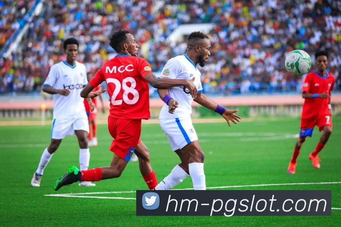 赏金女王官网服务体系